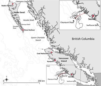 Evidence of fin whale (Balaenoptera physalus velifera) recovery in the Canadian Pacific